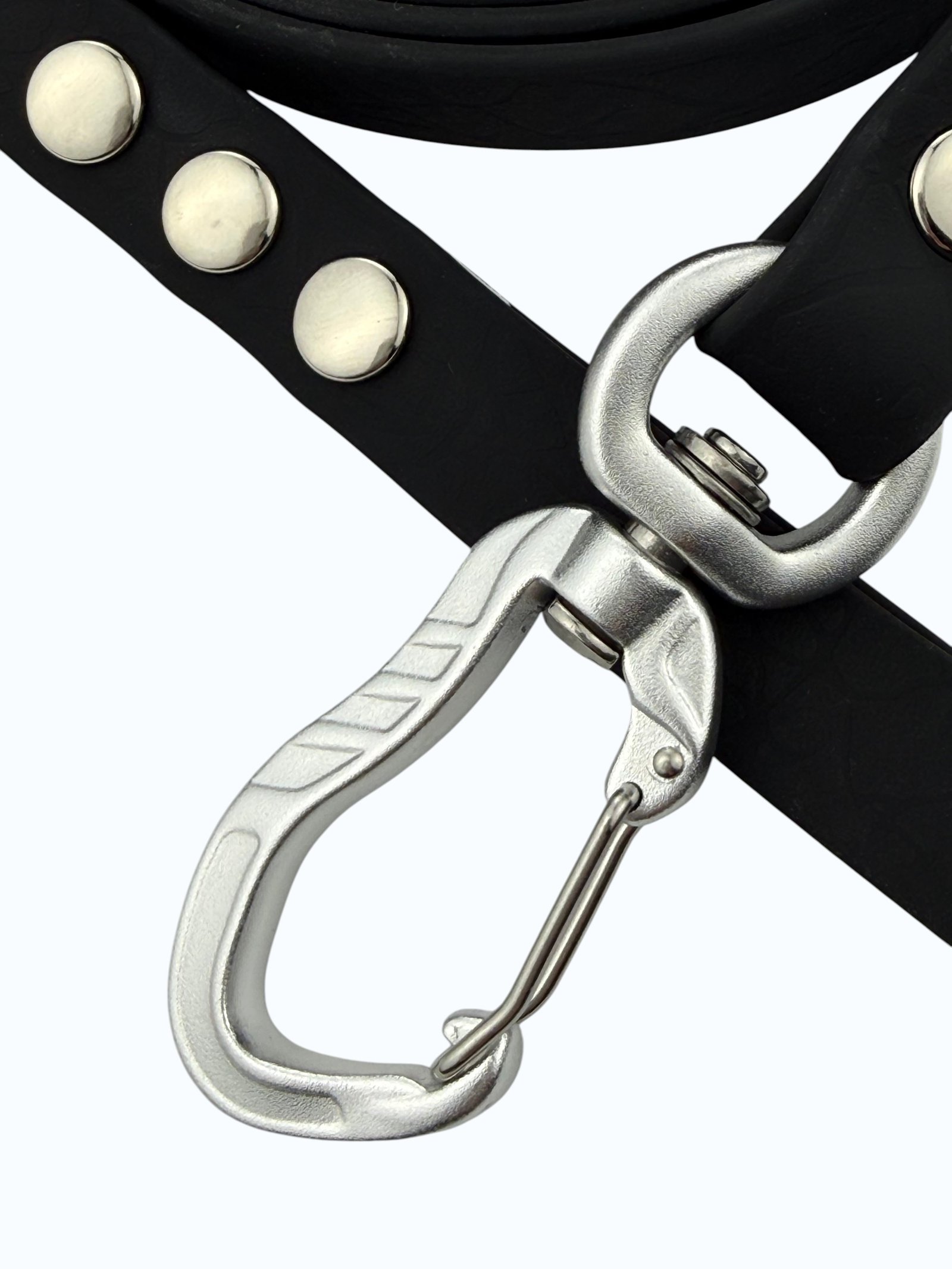 leash-midnight-0